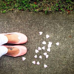 7779_584659181556215_864579822_n