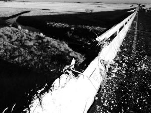 1932311_10203622925232477_1763377918_n