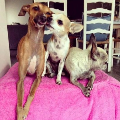 10427309_10155068984605201_6993101814562696479_n