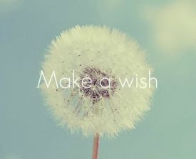 183404-Make-A-Wish