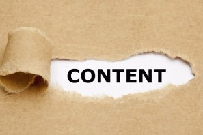 Jojo Bayvel digital marketing services consultant south africa.jpg 1